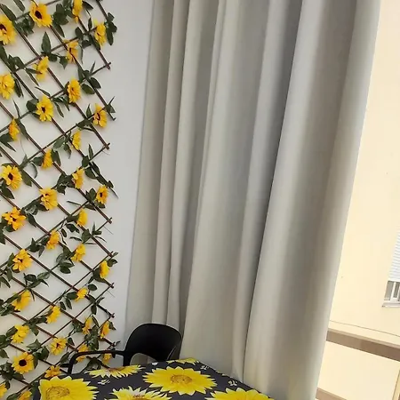 Sunflower * Durrës