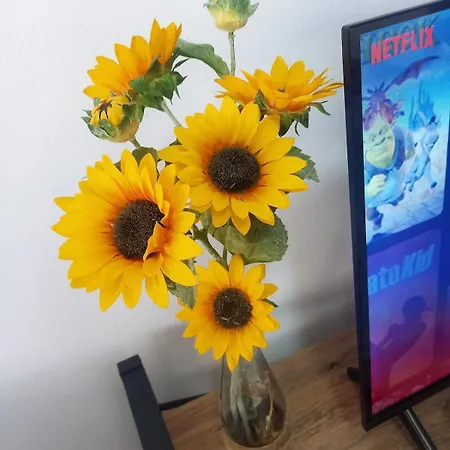 Sunflower 公寓 Durrës