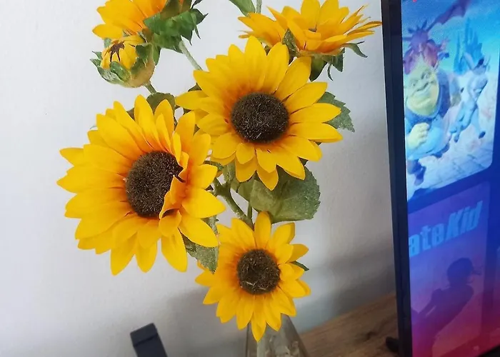 Sunflower 公寓 Durrës